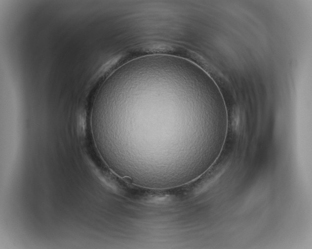 X0000113070206200909041104