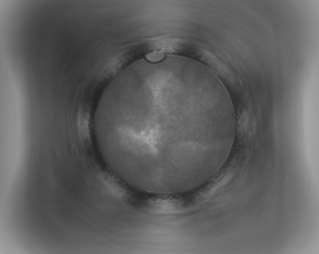 X0000113070209200909041104