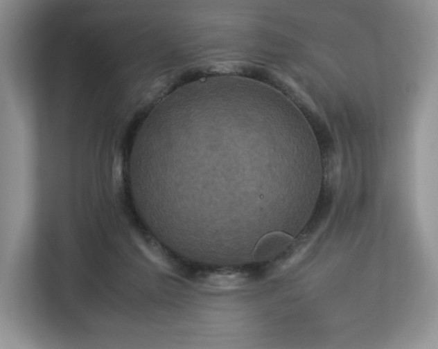 X0000113070213200909041104