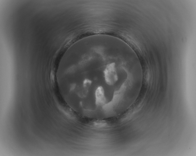 X0000113070214200909041104