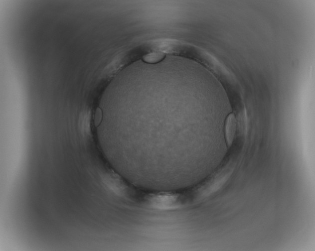 X0000113070217200909041104