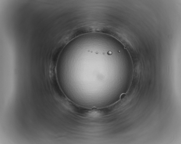 X0000113070218200909041104