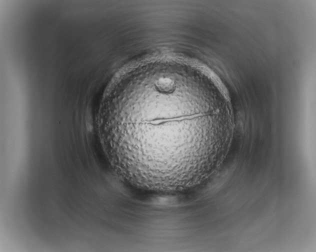 X0000113070220200909041104