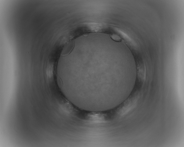 X0000113070221200909041104