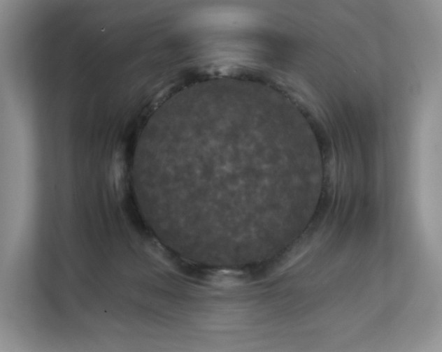 X0000113070222200909041104