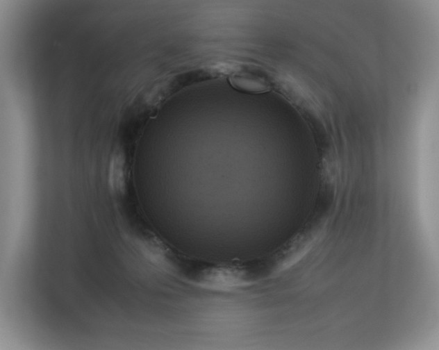 X0000113070223200909041104