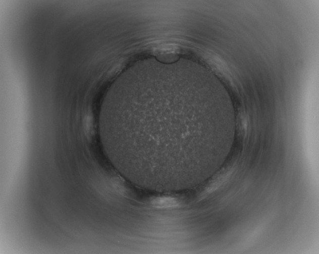 X0000113070224200909041104