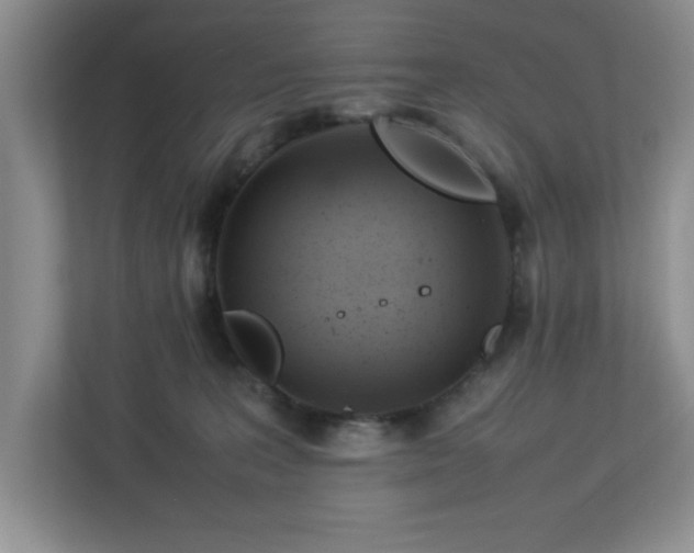 X0000113070227200909041104