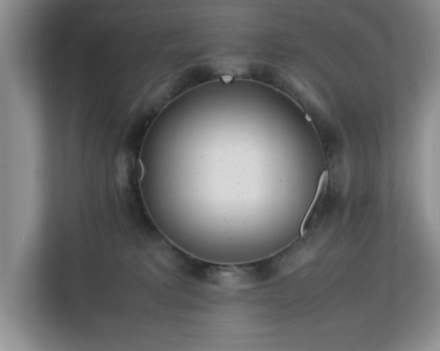 X0000113070229200909041104