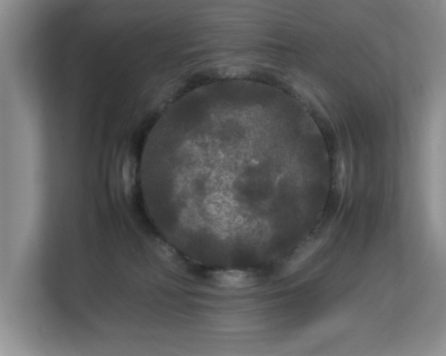 X0000113070230200909041104