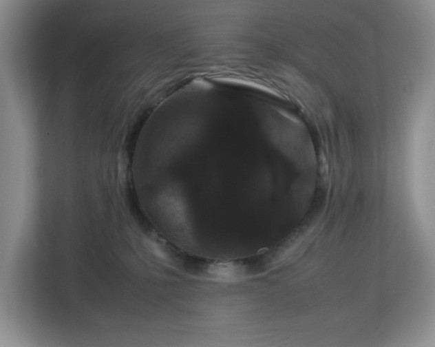 X0000113070231200909041104