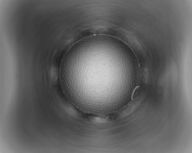 X0000113070232200909041104