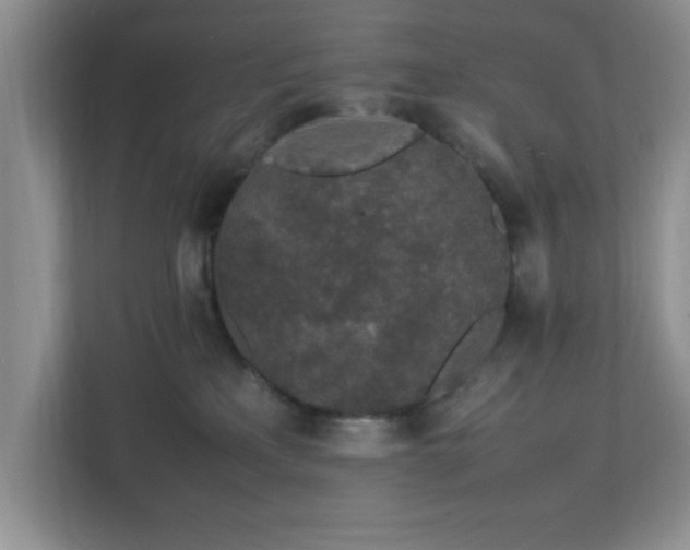 X0000113070233200909041104