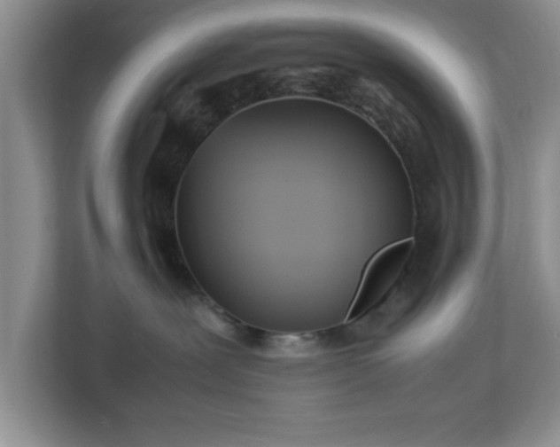 X0000113070239200909041104