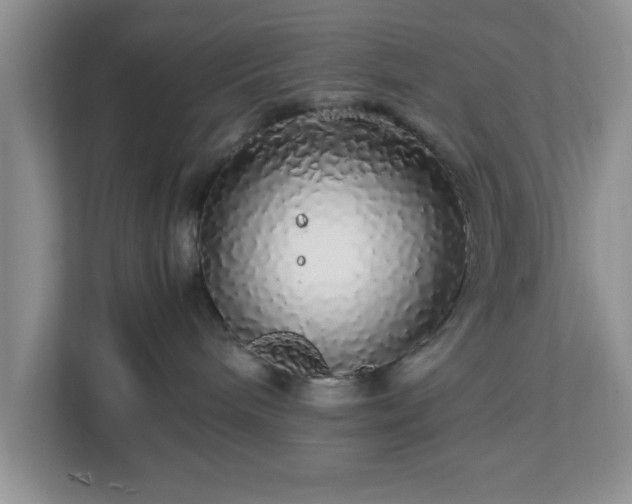 X0000113070240200909041104