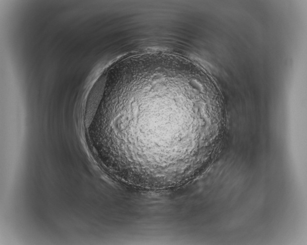 X0000113070241200909041103