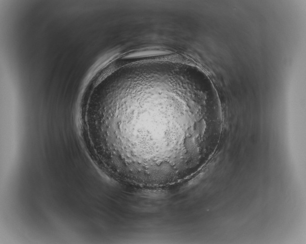 X0000113070245200909041103