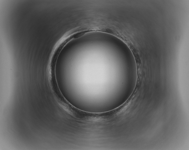 X0000113070246200909041103