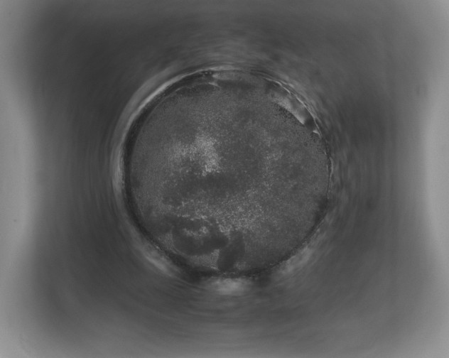 X0000113070247200909041103