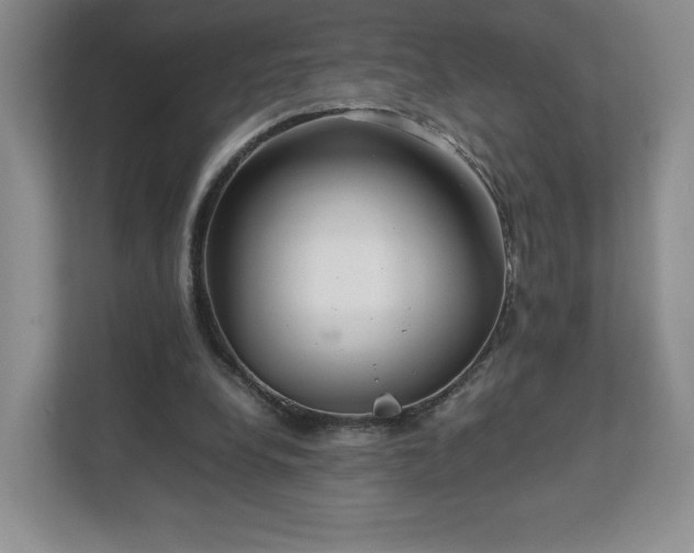 X0000113070248200909041103