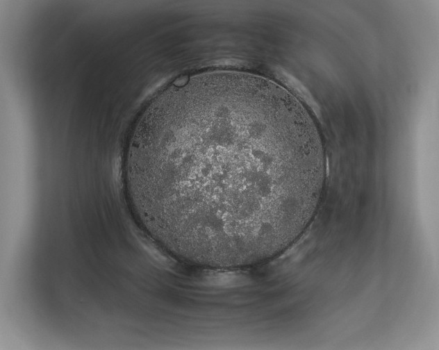 X0000113070249200909041103