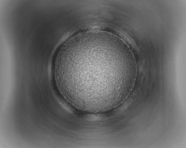 X0000113070250200909041103