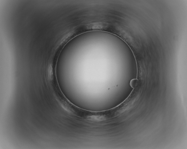 X0000113070251200909041103