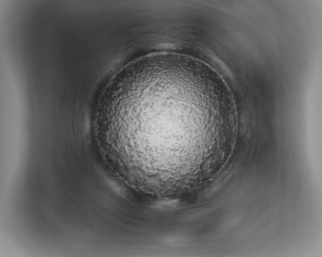 X0000113070257200909041103