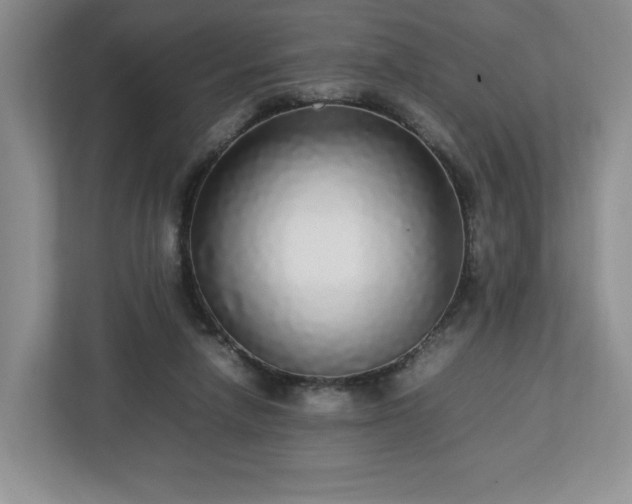 X0000113070258200909041103