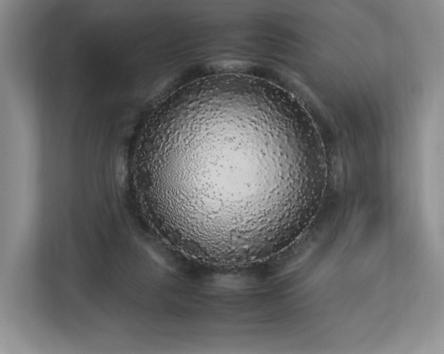 X0000113070259200909041103