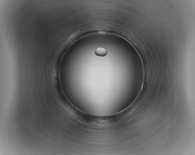 X0000113070260200909041103