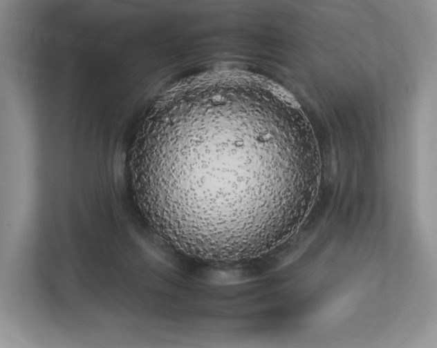 X0000113070263200909041103