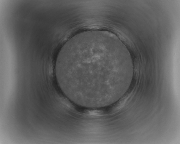 X0000113070268200909041104