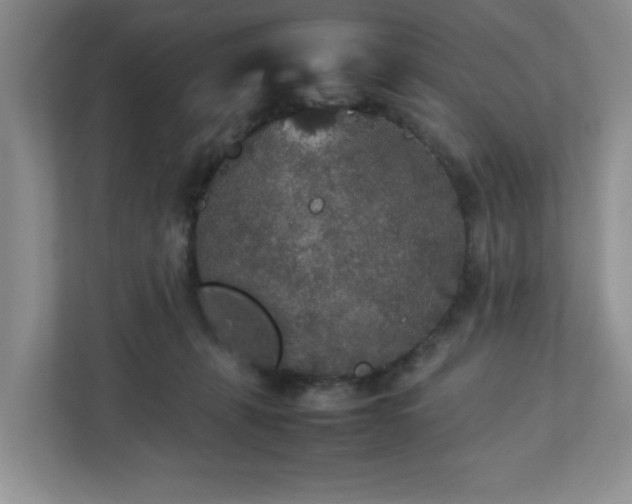 X0000113070271200909041104