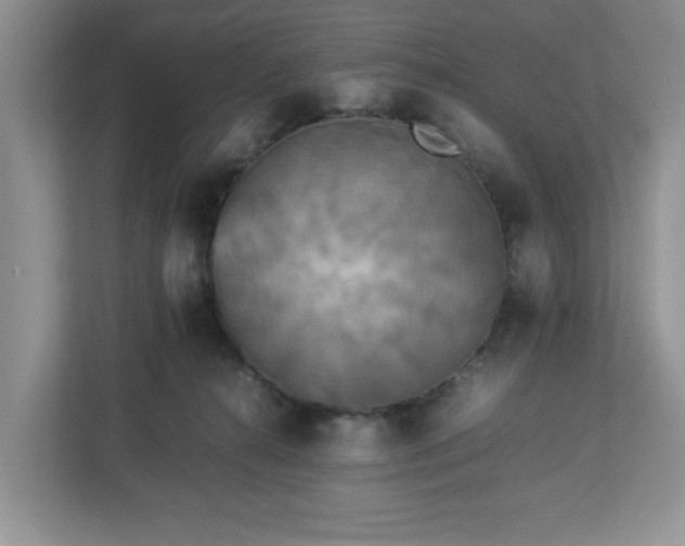 X0000113070272200909041104