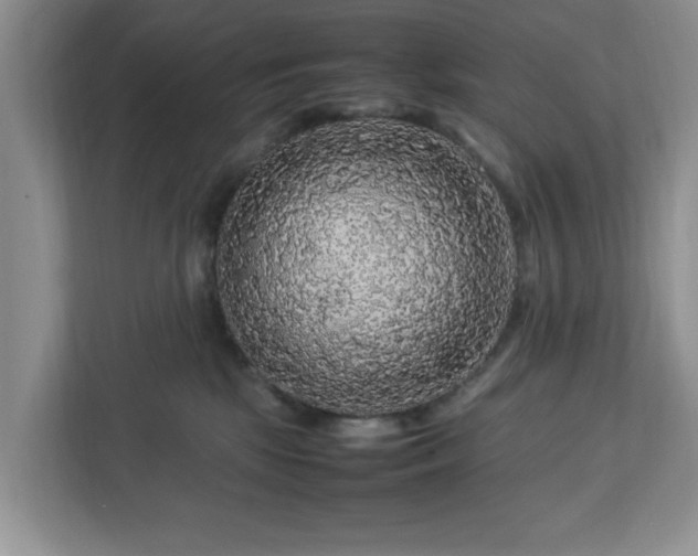 X0000113070281200909041104