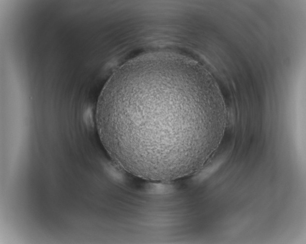 X0000113070286200909041104