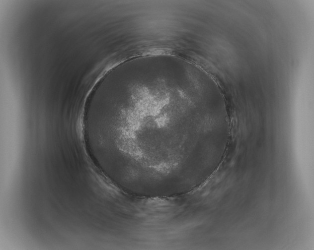 X0000113070290200909041103