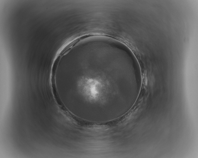 X0000113070292200909041103