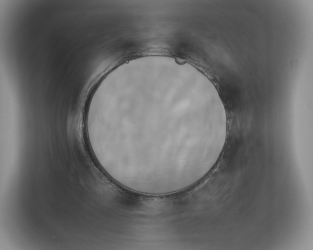 X0000113070293200909041103