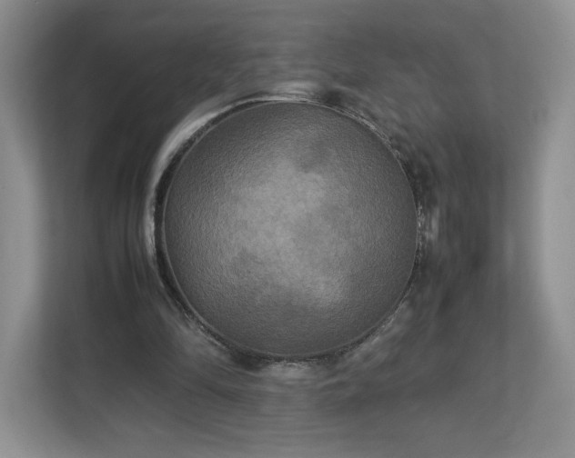 X0000113070294200909041103