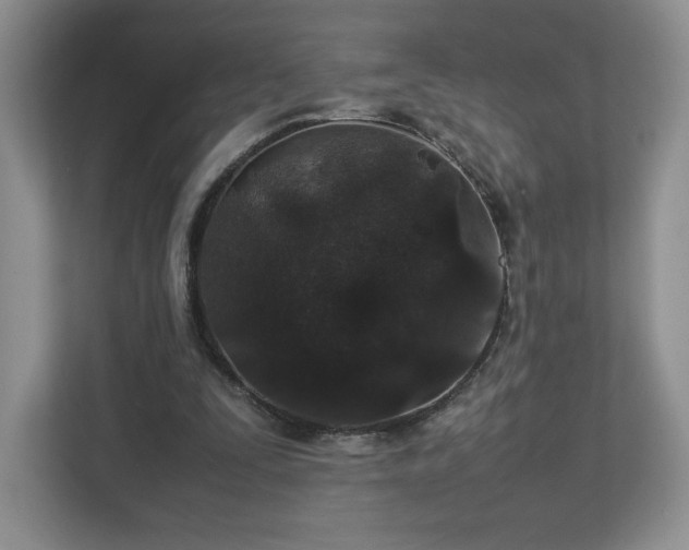 X0000113070295200909041103