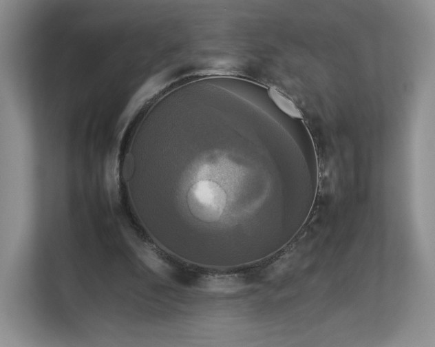 X0000113070296200909041103