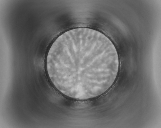 X0000113070297200909041103