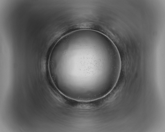 X0000113070299200909041103