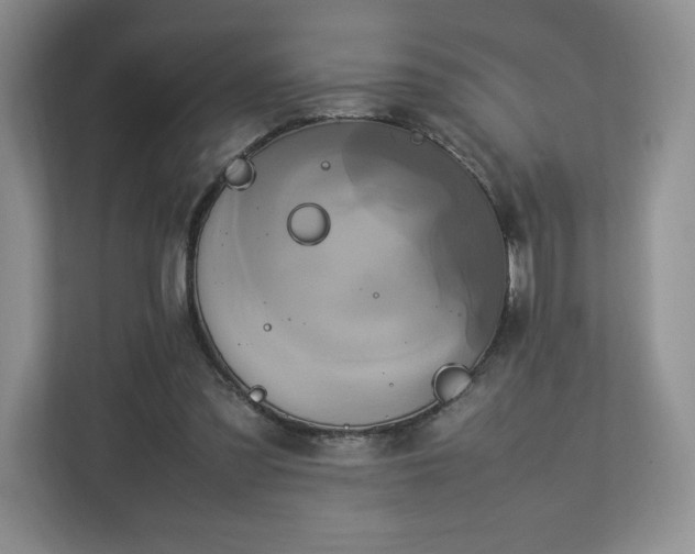 X0000113070301200909041103