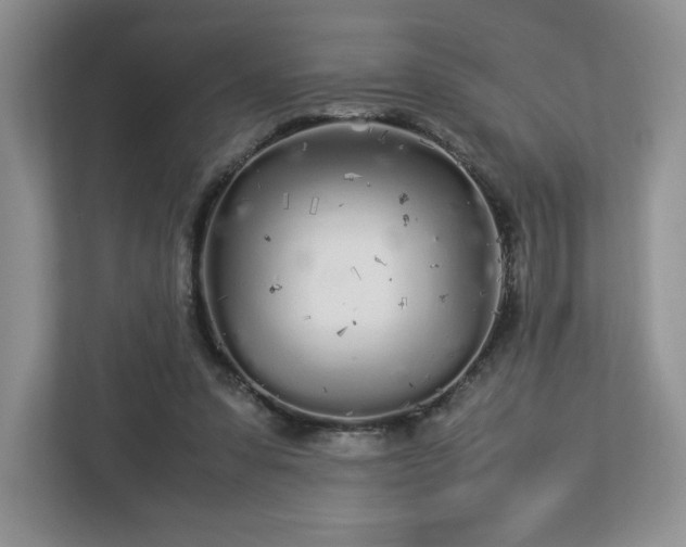 X0000113070303200909041103