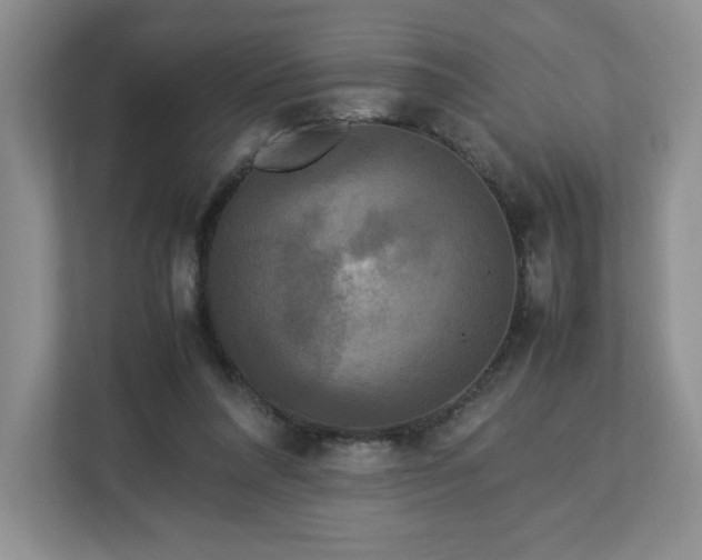 X0000113070304200909041103