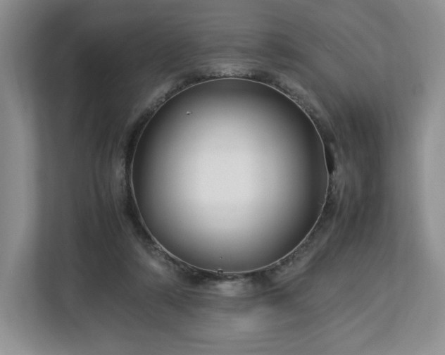 X0000113070306200909041103