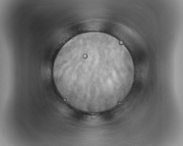 X0000113070309200909041103